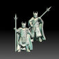 Set of 2  Black Tower Guards