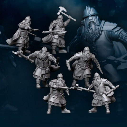 set of 6 Steel Guard