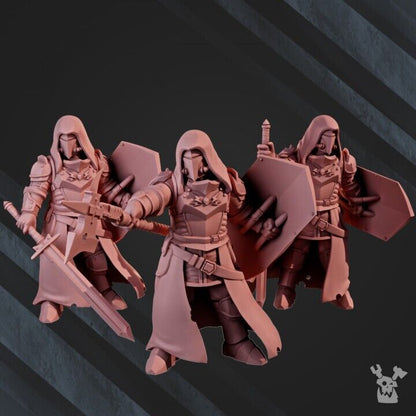 Set of 5 Dawn Guard Sunlight Crusaders