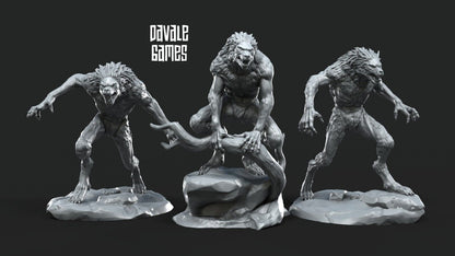 Set of 3 lycanthropes of anagar